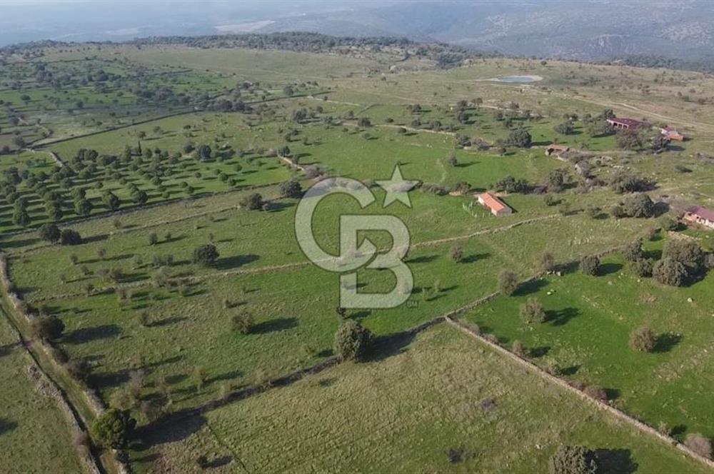 ÇANAKKALE AYVACIK KORUBAŞINDA UYGUN M2 FİYATLI AVANTAJLI SATILIK TARLA