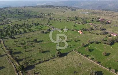 ÇANAKKALE AYVACIK KORUBAŞINDA UYGUN M2 FİYATLI AVANTAJLI SATILIK TARLA