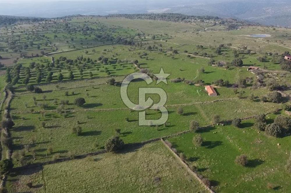 ÇANAKKALE AYVACIK KORUBAŞINDA UYGUN M2 FİYATLI AVANTAJLI SATILIK TARLA