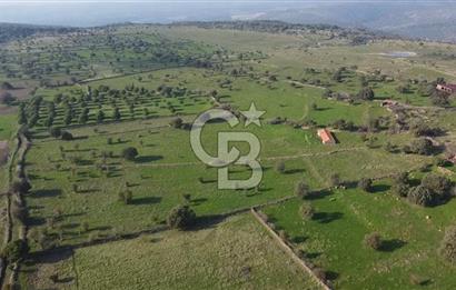 ÇANAKKALE AYVACIK KORUBAŞINDA UYGUN M2 FİYATLI AVANTAJLI SATILIK TARLA