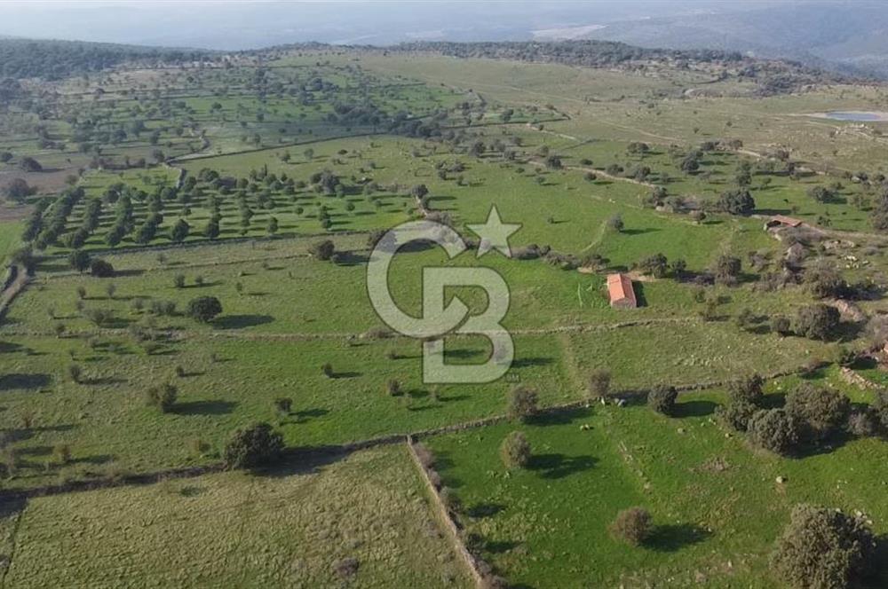 ÇANAKKALE AYVACIK KORUBAŞINDA UYGUN M2 FİYATLI AVANTAJLI SATILIK TARLA