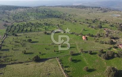 ÇANAKKALE AYVACIK KORUBAŞINDA UYGUN M2 FİYATLI AVANTAJLI SATILIK TARLA