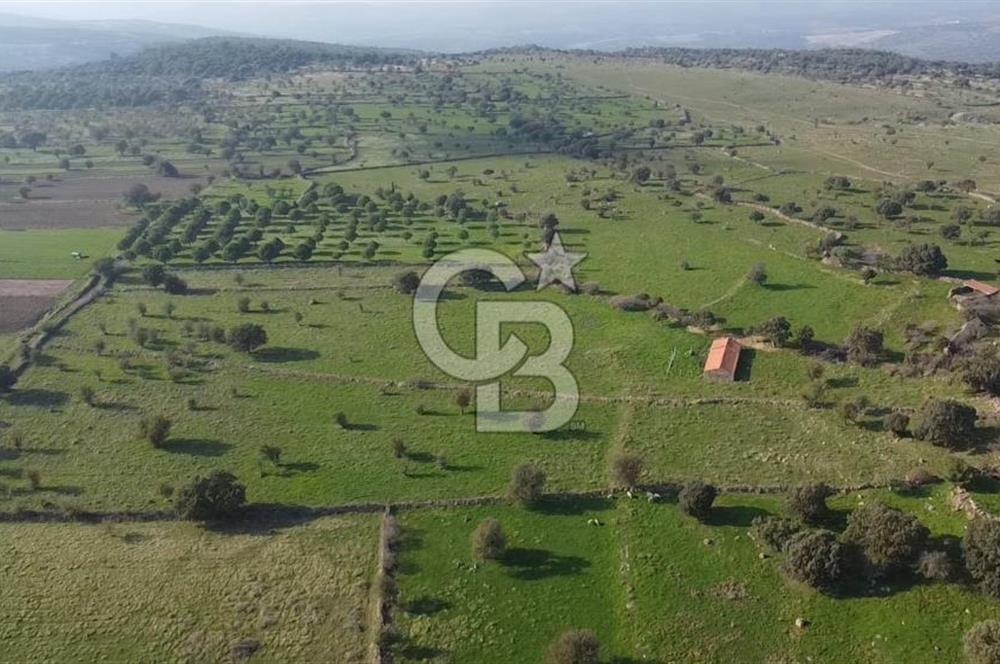 ÇANAKKALE AYVACIK KORUBAŞINDA UYGUN M2 FİYATLI AVANTAJLI SATILIK TARLA