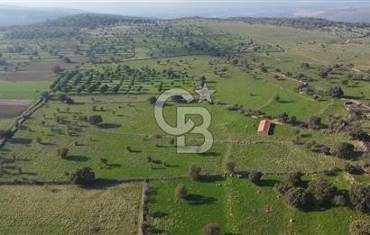 ÇANAKKALE AYVACIK KORUBAŞINDA UYGUN M2 FİYATLI AVANTAJLI SATILIK TARLA