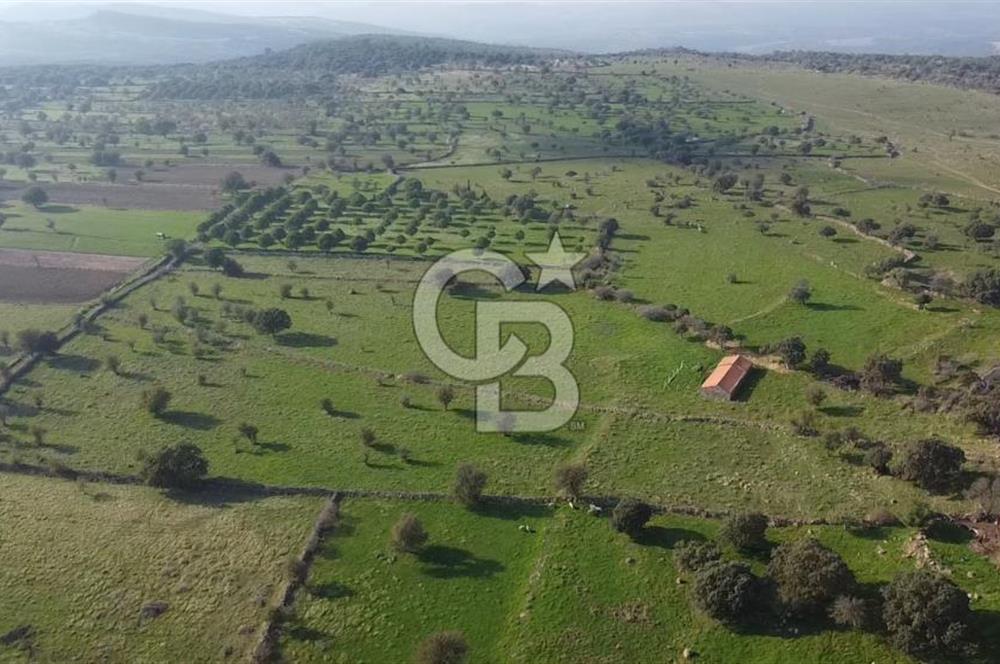 ÇANAKKALE AYVACIK KORUBAŞINDA UYGUN M2 FİYATLI AVANTAJLI SATILIK TARLA