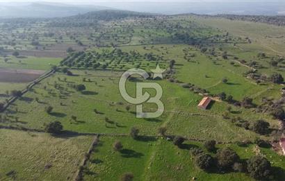ÇANAKKALE AYVACIK KORUBAŞINDA UYGUN M2 FİYATLI AVANTAJLI SATILIK TARLA