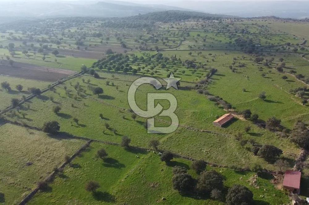 ÇANAKKALE AYVACIK KORUBAŞINDA UYGUN M2 FİYATLI AVANTAJLI SATILIK TARLA