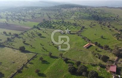ÇANAKKALE AYVACIK KORUBAŞINDA UYGUN M2 FİYATLI AVANTAJLI SATILIK TARLA