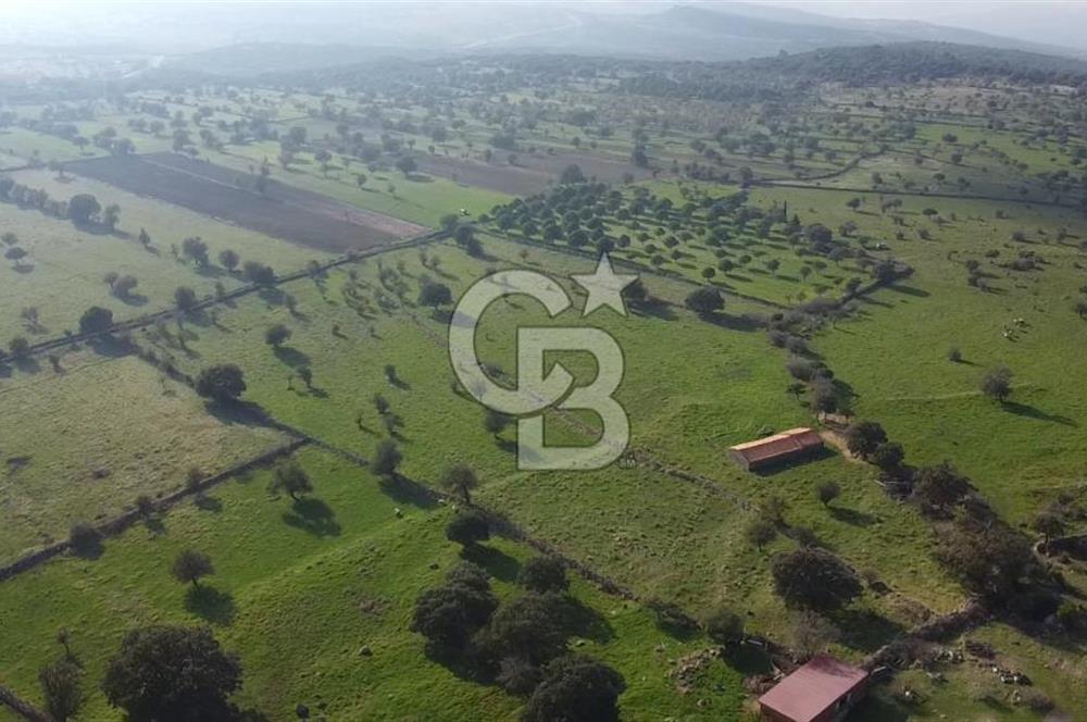 ÇANAKKALE AYVACIK KORUBAŞINDA UYGUN M2 FİYATLI AVANTAJLI SATILIK TARLA