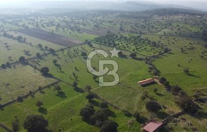 ÇANAKKALE AYVACIK KORUBAŞINDA UYGUN M2 FİYATLI AVANTAJLI SATILIK TARLA