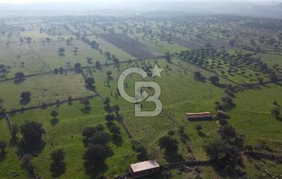 ÇANAKKALE AYVACIK KORUBAŞINDA UYGUN M2 FİYATLI AVANTAJLI SATILIK TARLA