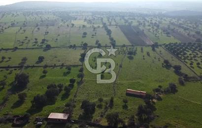 ÇANAKKALE AYVACIK KORUBAŞINDA UYGUN M2 FİYATLI AVANTAJLI SATILIK TARLA