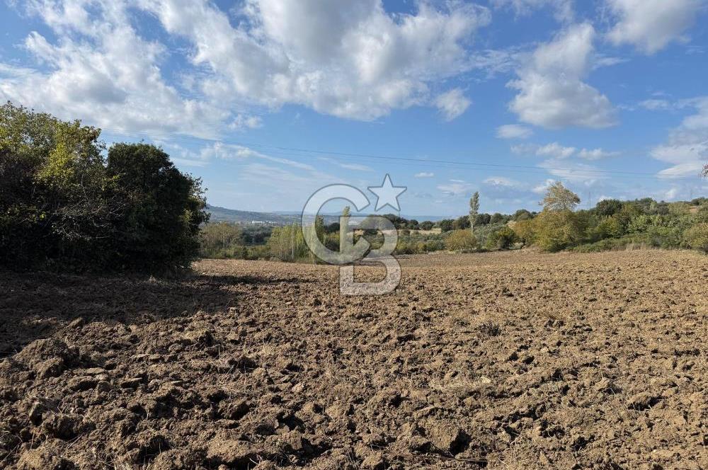 ÇANAKKALE GÖKKÖY'DE 42 DÖNÜM SULU ÖZEL ÜRÜN SINIFINDA EMSALSİZ TARLA 