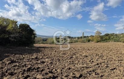 ÇANAKKALE GÖKKÖY'DE 42 DÖNÜM SULU ÖZEL ÜRÜN SINIFINDA EMSALSİZ TARLA 