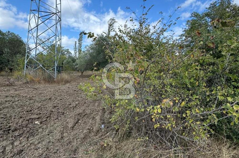 ÇANAKKALE GÖKKÖY'DE 42 DÖNÜM SULU ÖZEL ÜRÜN SINIFINDA EMSALSİZ TARLA 