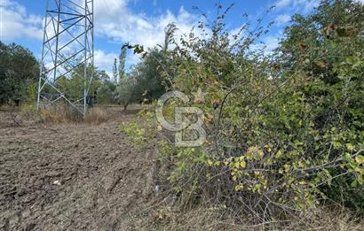 ÇANAKKALE GÖKKÖY'DE 42 DÖNÜM SULU ÖZEL ÜRÜN SINIFINDA EMSALSİZ TARLA 