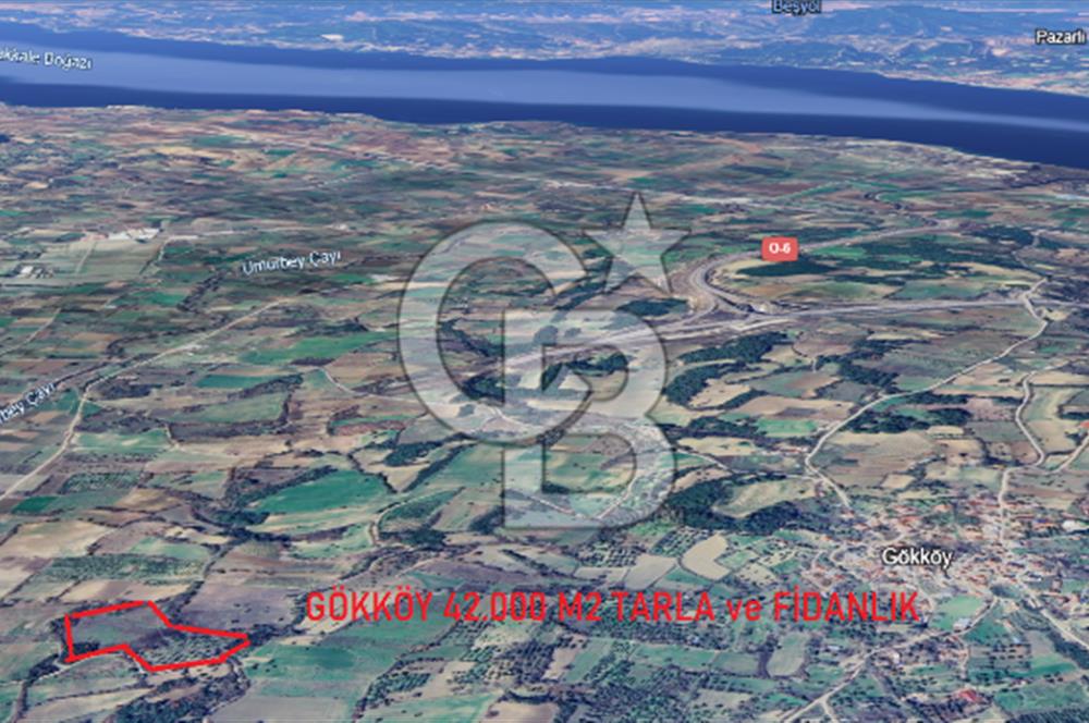 ÇANAKKALE GÖKKÖY'DE 42 DÖNÜM SULU ÖZEL ÜRÜN SINIFINDA EMSALSİZ TARLA 