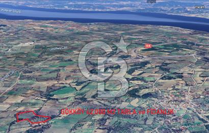 ÇANAKKALE GÖKKÖY'DE 42 DÖNÜM SULU ÖZEL ÜRÜN SINIFINDA EMSALSİZ TARLA 