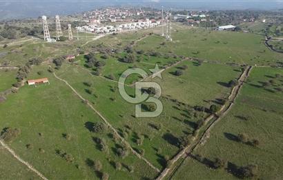 ÇANAKKALE AYVACIK KORUBAŞINDA UYGUN M2 FİYATLI AVANTAJLI SATILIK TARLA