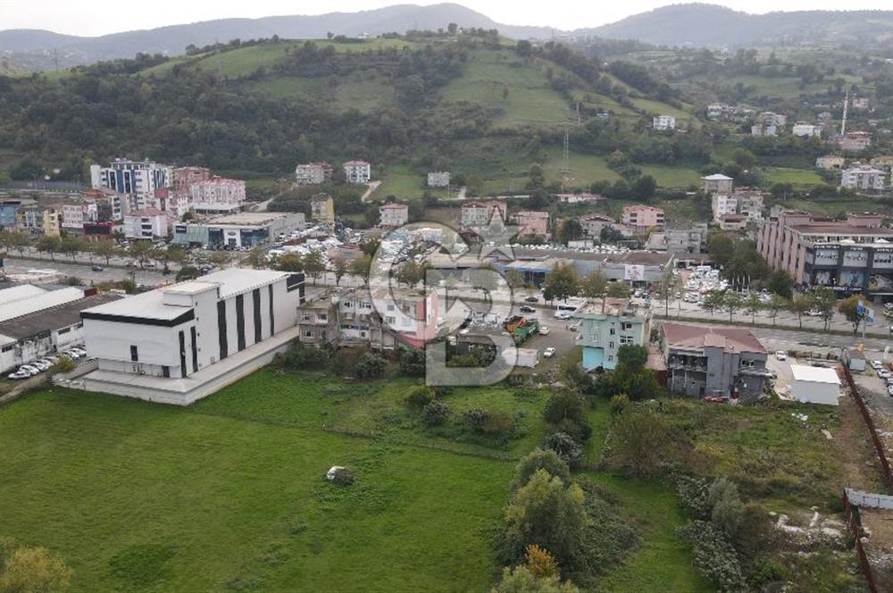 KUTLUKENT'TE SAMSUN ORDU YOLUNA CEPHE KİRALIK ARSA