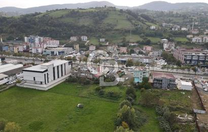 KUTLUKENT'TE SAMSUN ORDU YOLUNA CEPHE KİRALIK ARSA