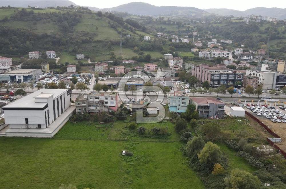 KUTLUKENT'TE SAMSUN ORDU YOLUNA CEPHE KİRALIK ARSA