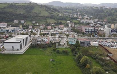 KUTLUKENT'TE SAMSUN ORDU YOLUNA CEPHE KİRALIK ARSA