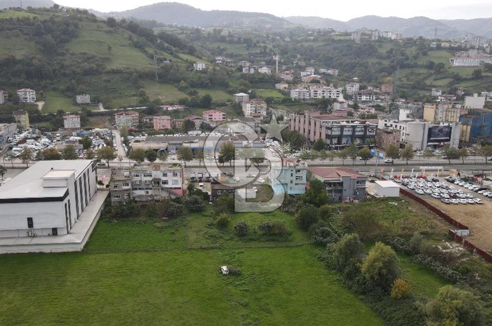 KUTLUKENT'TE SAMSUN ORDU YOLUNA CEPHE KİRALIK ARSA