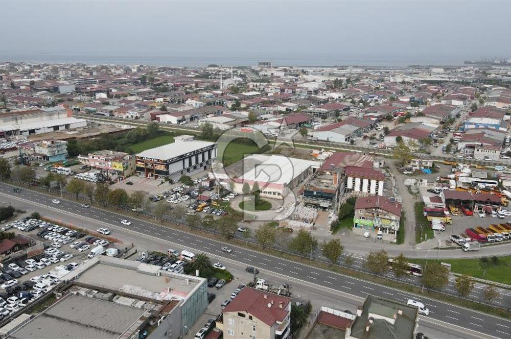 KUTLUKENT'TE SAMSUN ORDU YOLUNA CEPHE KİRALIK ARSA