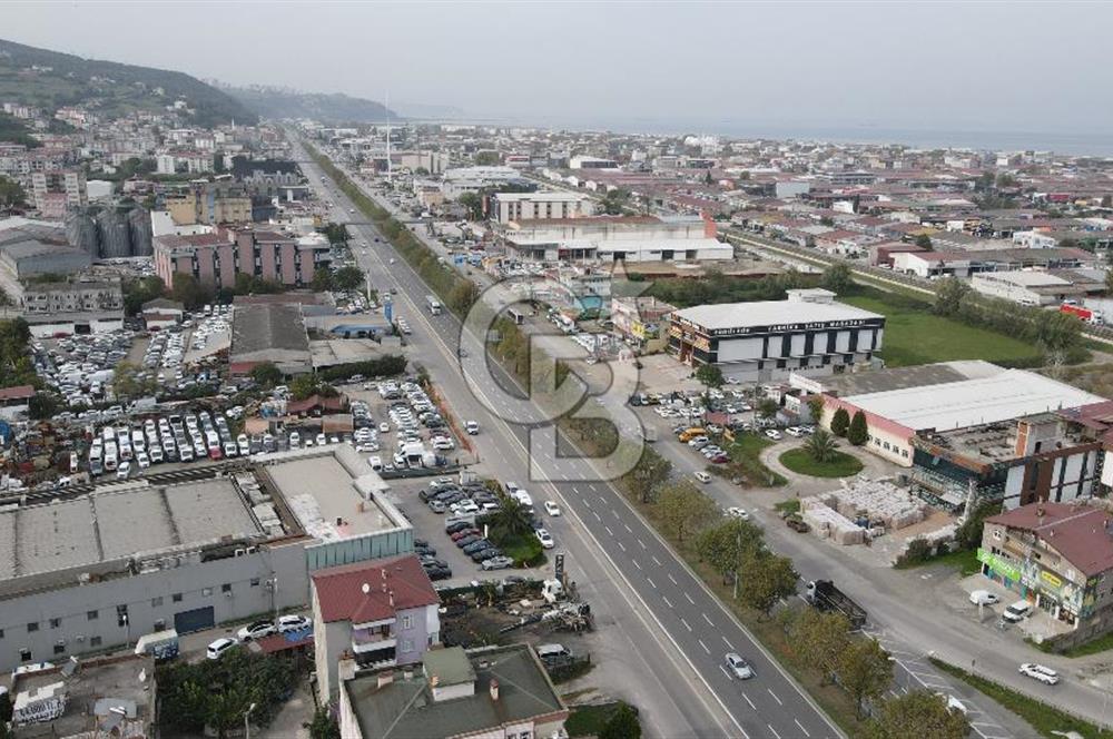 KUTLUKENT'TE SAMSUN ORDU YOLUNA CEPHE KİRALIK ARSA