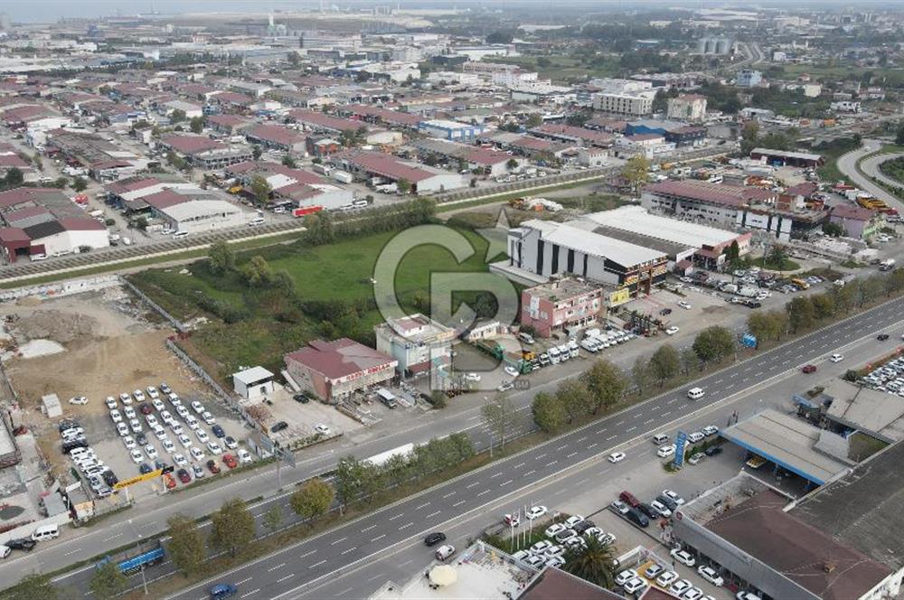 KUTLUKENT'TE SAMSUN ORDU YOLUNA CEPHE KİRALIK ARSA