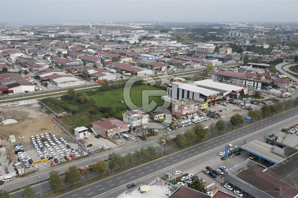 KUTLUKENT'TE SAMSUN ORDU YOLUNA CEPHE KİRALIK ARSA