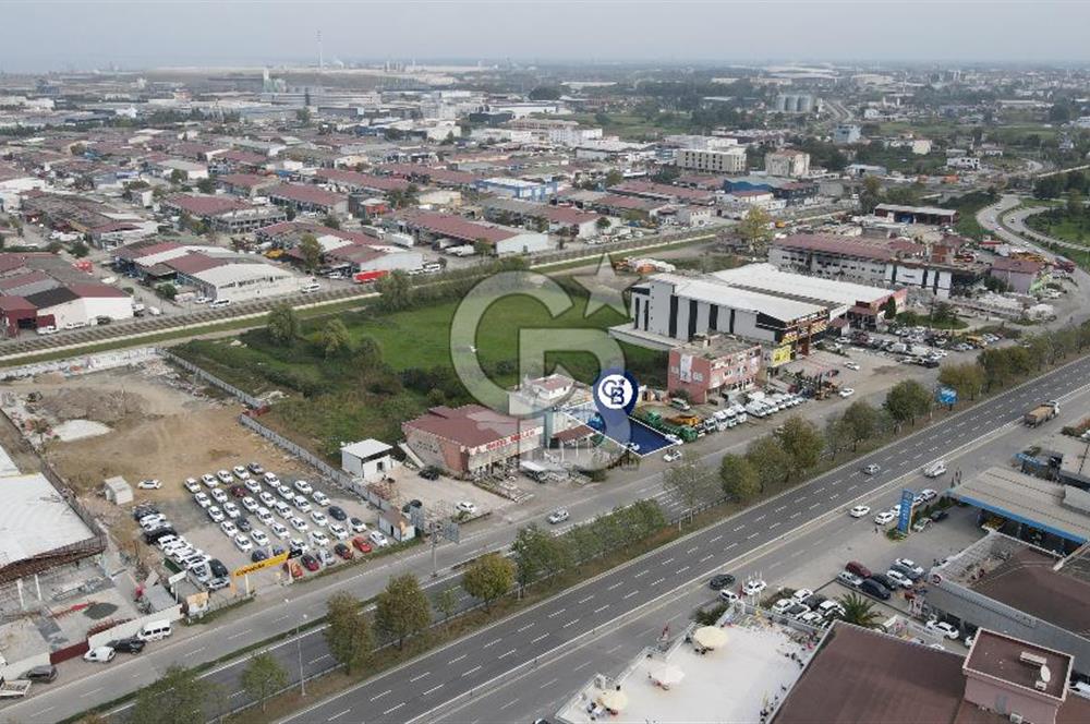 KUTLUKENT'TE SAMSUN ORDU YOLUNA CEPHE KİRALIK ARSA