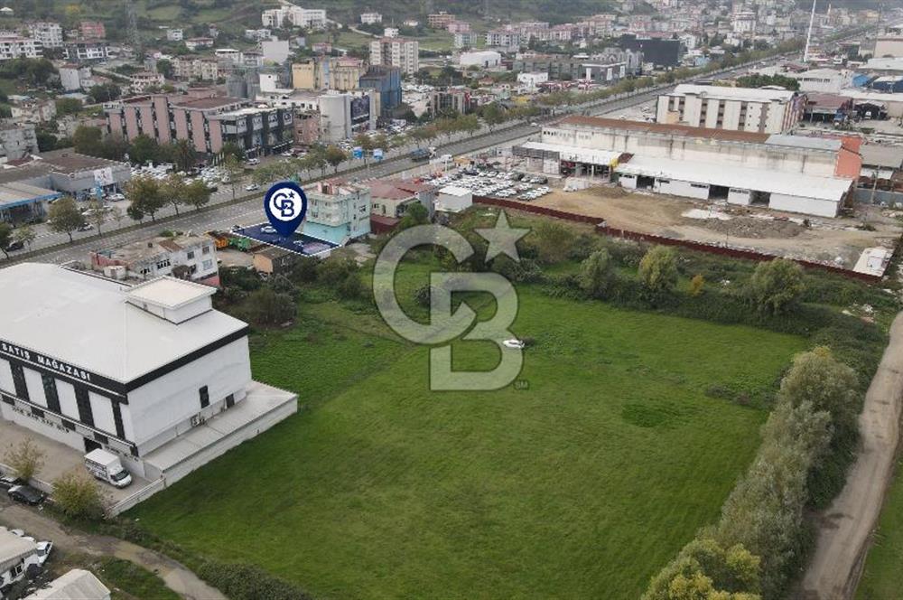 KUTLUKENT'TE SAMSUN ORDU YOLUNA CEPHE KİRALIK ARSA