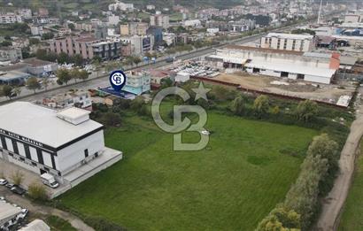 KUTLUKENT'TE SAMSUN ORDU YOLUNA CEPHE KİRALIK ARSA
