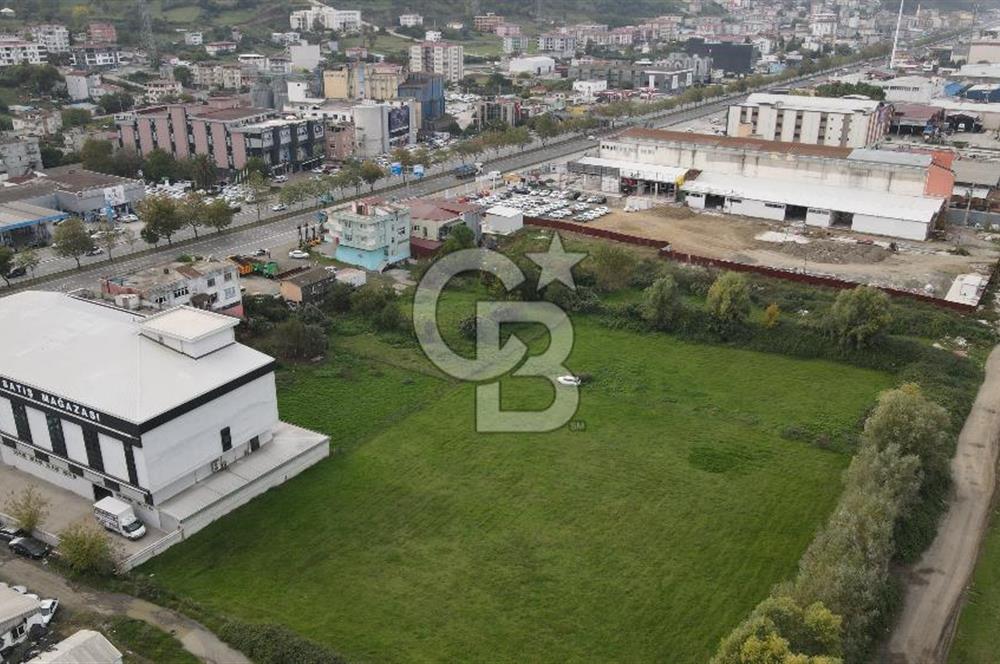 KUTLUKENT'TE SAMSUN ORDU YOLUNA CEPHE KİRALIK ARSA
