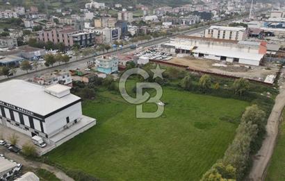 KUTLUKENT'TE SAMSUN ORDU YOLUNA CEPHE KİRALIK ARSA