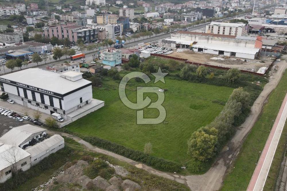 KUTLUKENT'TE SAMSUN ORDU YOLUNA CEPHE KİRALIK ARSA