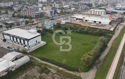 KUTLUKENT'TE SAMSUN ORDU YOLUNA CEPHE KİRALIK ARSA