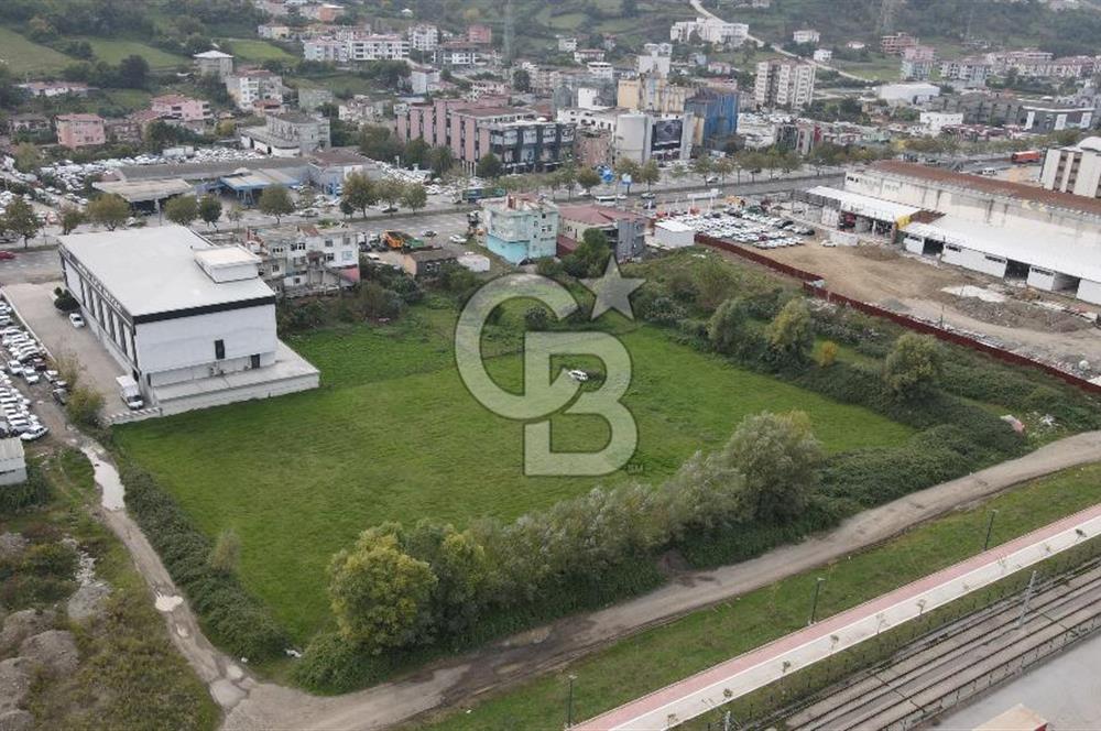 KUTLUKENT'TE SAMSUN ORDU YOLUNA CEPHE KİRALIK ARSA