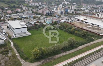 KUTLUKENT'TE SAMSUN ORDU YOLUNA CEPHE KİRALIK ARSA