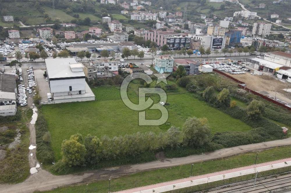 KUTLUKENT'TE SAMSUN ORDU YOLUNA CEPHE KİRALIK ARSA