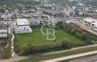 KUTLUKENT'TE SAMSUN ORDU YOLUNA CEPHE KİRALIK ARSA