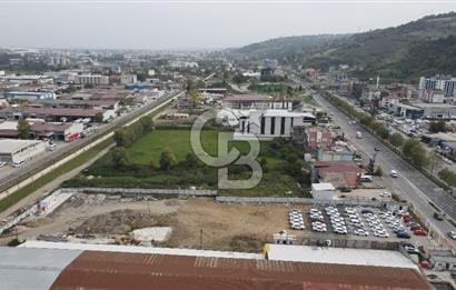 KUTLUKENT'TE SAMSUN ORDU YOLUNA CEPHE KİRALIK ARSA