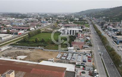 KUTLUKENT'TE SAMSUN ORDU YOLUNA CEPHE KİRALIK ARSA