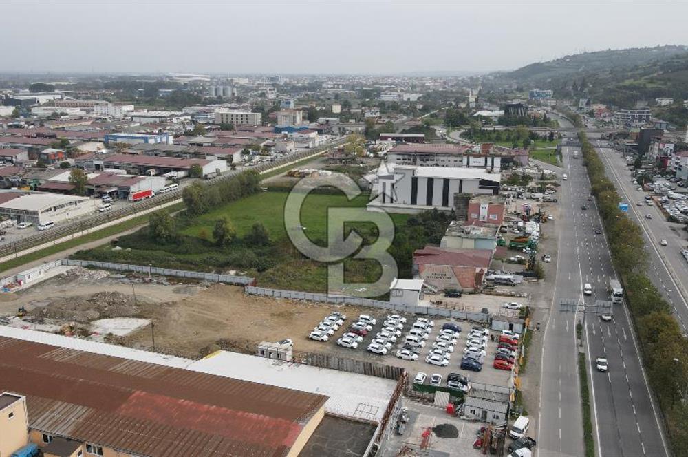 KUTLUKENT'TE SAMSUN ORDU YOLUNA CEPHE KİRALIK ARSA