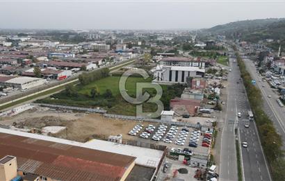 KUTLUKENT'TE SAMSUN ORDU YOLUNA CEPHE KİRALIK ARSA