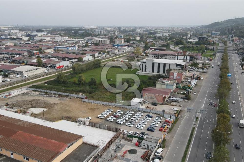 KUTLUKENT'TE SAMSUN ORDU YOLUNA CEPHE KİRALIK ARSA