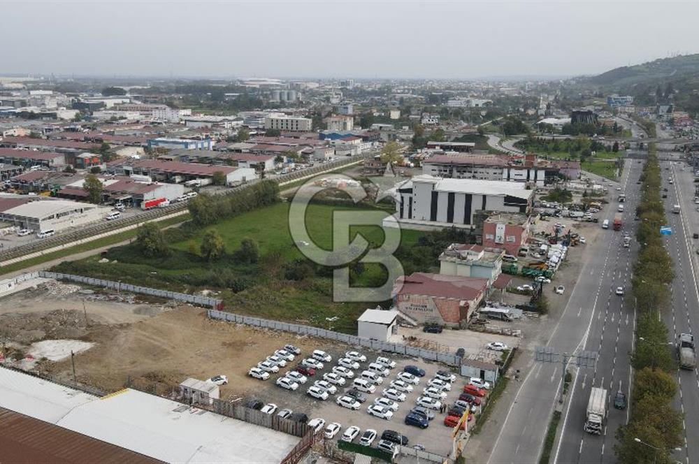 KUTLUKENT'TE SAMSUN ORDU YOLUNA CEPHE KİRALIK ARSA