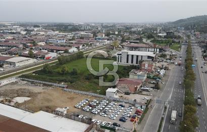 KUTLUKENT'TE SAMSUN ORDU YOLUNA CEPHE KİRALIK ARSA